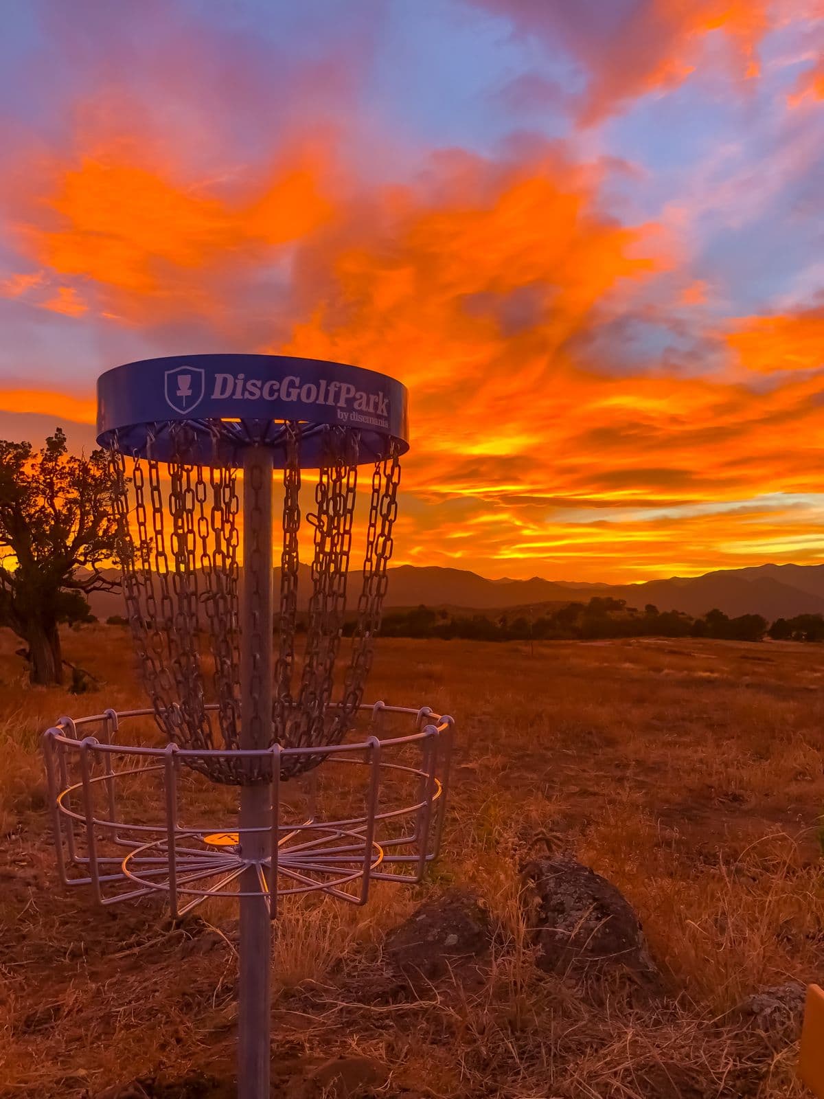 Disc golf course
