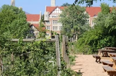 Foodie's Guide to Canon City