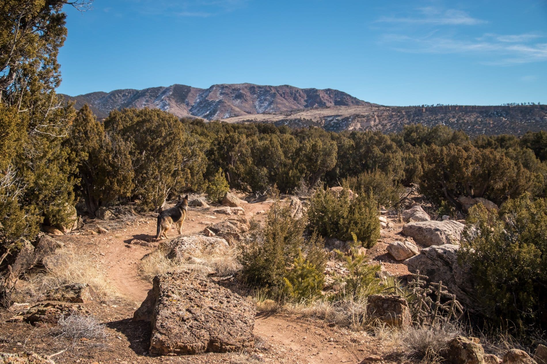 Mountain biking trail at Oil Well Flats