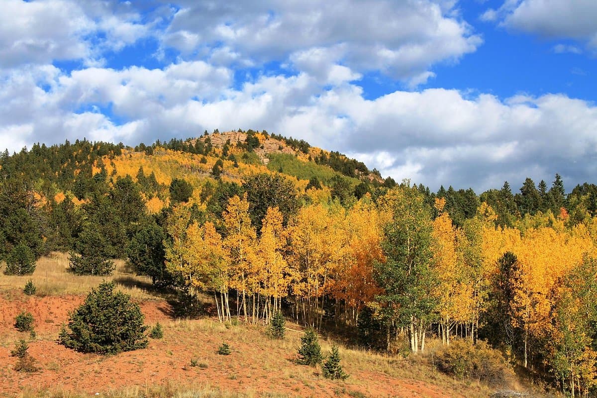 Phantom Canyon Road scenic drive